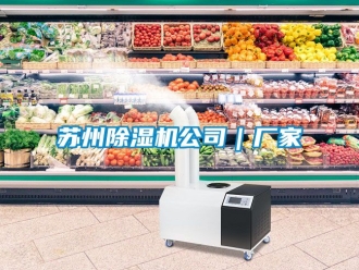 企業新聞蘇州除濕機公司｜廠家