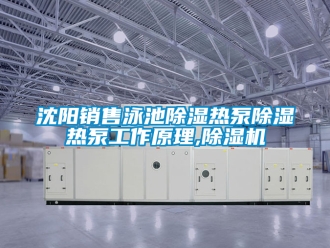 行業新聞沈陽銷售泳池除濕熱泵除濕熱泵工作原理,除濕機