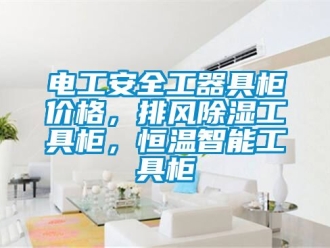 知識百科電工安全工器具柜價格，排風除濕工具柜，恒溫智能工具柜