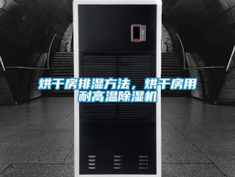 行業(yè)新聞烘干房排濕方法，烘干房用耐高溫除濕機(jī)