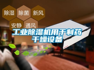 企業(yè)新聞工業(yè)除濕機(jī)用于制藥干燥設(shè)備