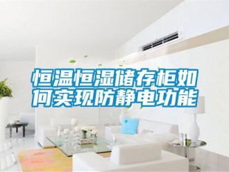 知識百科恒溫恒濕儲存柜如何實(shí)現(xiàn)防靜電功能