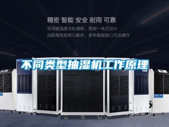 企業新聞不同類型抽濕機工作原理