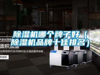 企業新聞除濕機哪個牌子好（除濕機品牌十佳排名）