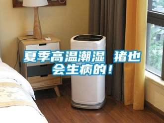 知識百科夏季高溫潮濕 豬也會生病的！