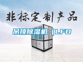 行業(yè)新聞吊頂除濕機(jī)（LFD