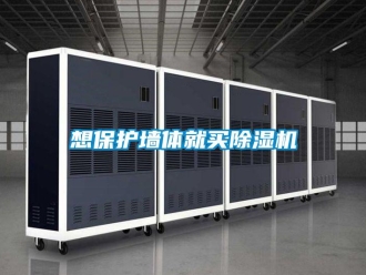 知識百科想保護墻體就買除濕機