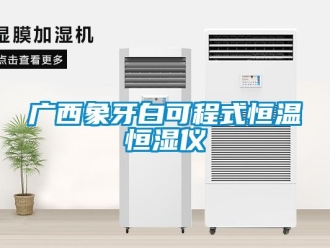 知識(shí)百科廣西象牙白可程式恒溫恒濕儀