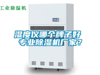 企業新聞濕度儀哪個牌子好 專業除濕機廠家？