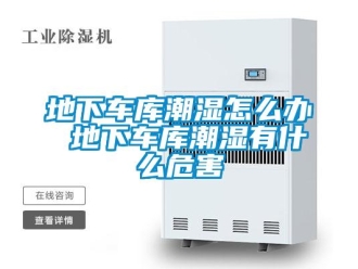 企業新聞地下車庫潮濕怎么辦 地下車庫潮濕有什么危害