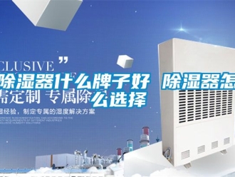 行業新聞除濕器什么牌子好 除濕器怎么選擇