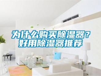 行業新聞為什么購買除濕器？好用除濕器推薦