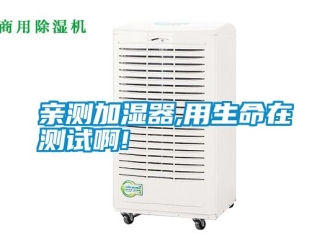 行業新聞親測加濕器,用生命在測試啊!