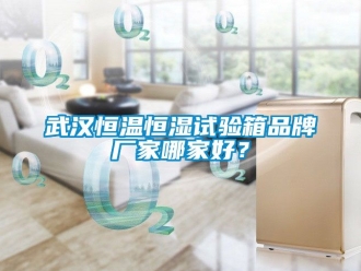 知識(shí)百科武漢恒溫恒濕試驗(yàn)箱品牌廠(chǎng)家哪家好？