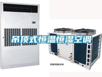 知識百科吊頂式恒溫恒濕空調
