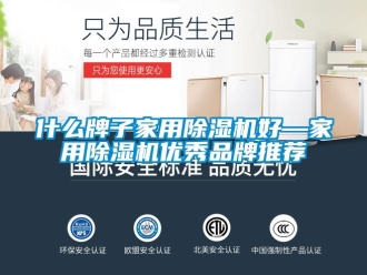 企業(yè)新聞什么牌子家用除濕機(jī)好—家用除濕機(jī)優(yōu)秀品牌推薦