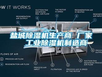 企業新聞鹽城除濕機生產商 廠家  工業除濕機制造商