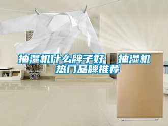 企業新聞抽濕機什么牌子好  抽濕機 熱門品牌推薦
