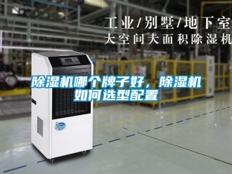 行業(yè)新聞除濕機哪個牌子好，除濕機如何選型配置