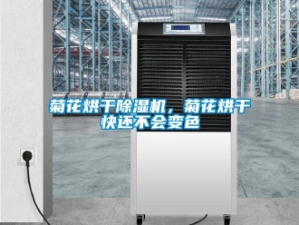 行業新聞菊花烘干除濕機，菊花烘干快還不會變色