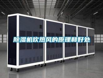 企業(yè)新聞除濕機(jī)吹熱風(fēng)的原理和好處