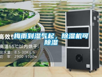 行業新聞梅雨到濕氣起，除濕機可除濕