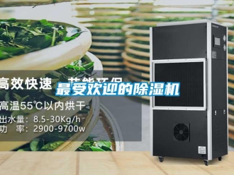 行業(yè)新聞最受歡迎的除濕機