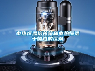 知識百科電熱恒溫培養箱和電熱恒溫干燥箱的區別