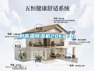行業(yè)新聞耐高溫除濕機20kg／h