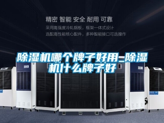 行業新聞除濕機哪個牌子好用_除濕機什么牌子好