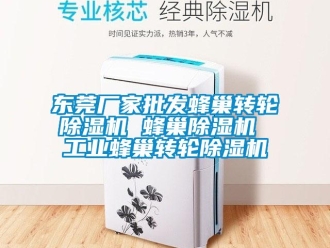 企業新聞東莞廠家批發蜂巢轉輪除濕機 蜂巢除濕機 工業蜂巢轉輪除濕機