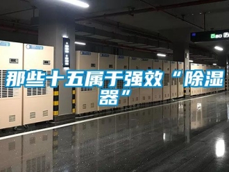 行業新聞那些十五屬于強效“除濕器”
