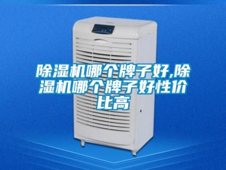 行業新聞除濕機哪個牌子好,除濕機哪個牌子好性價比高