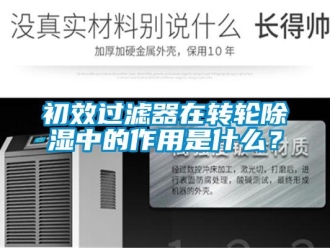 企業新聞初效過濾器在轉輪除濕中的作用是什么？