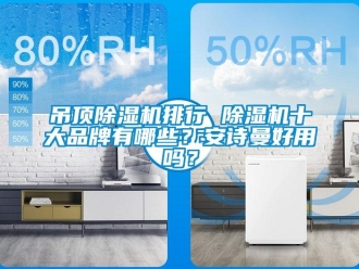 企業(yè)新聞吊頂除濕機(jī)排行 除濕機(jī)十大品牌有哪些？安詩(shī)曼好用嗎？