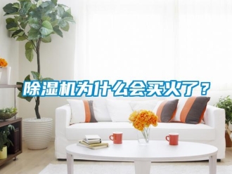 企業新聞除濕機為什么會買火了？