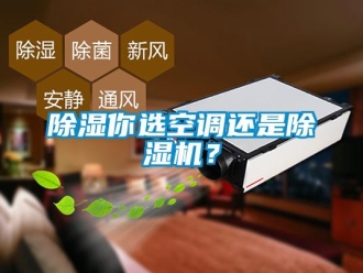 企業(yè)新聞除濕你選空調(diào)還是除濕機(jī)？
