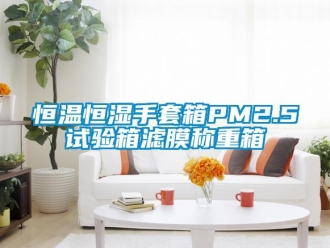 知識百科恒溫恒濕手套箱PM2.5試驗箱濾膜稱重箱