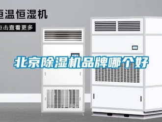 企業新聞北京除濕機品牌哪個好