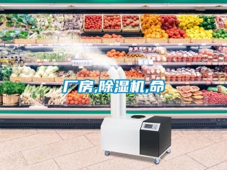 企業(yè)新聞廠房,除濕機(jī),命