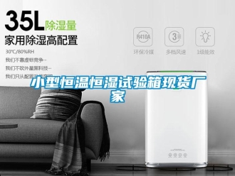 知識百科小型恒溫恒濕試驗箱現貨廠家