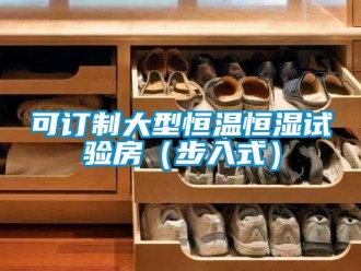 知識百科可訂制大型恒溫恒濕試驗房（步入式）