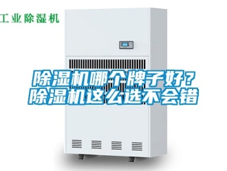 行業新聞除濕機哪個牌子好？除濕機這么選不會錯