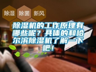 企業新聞除濕機的工作原理有哪些呢？具體的和哈爾濱除濕機了解一下吧！
