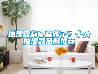 企業新聞抽濕器有哪些牌子？十大抽濕器品牌推薦