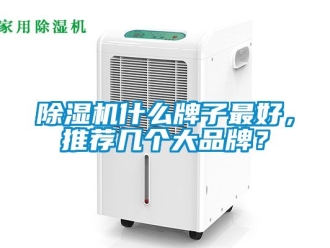 企業(yè)新聞除濕機(jī)什么牌子最好，推薦幾個大品牌？