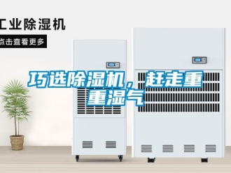 行業(yè)新聞巧選除濕機(jī)，趕走重重濕氣