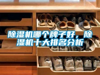 行業(yè)新聞除濕機哪個牌子好，除濕機十大排名分析