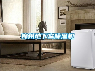 行業新聞錦州地下室除濕機