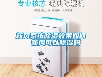 行業新聞新風系統除濕效果如何  新風可以除濕嗎
